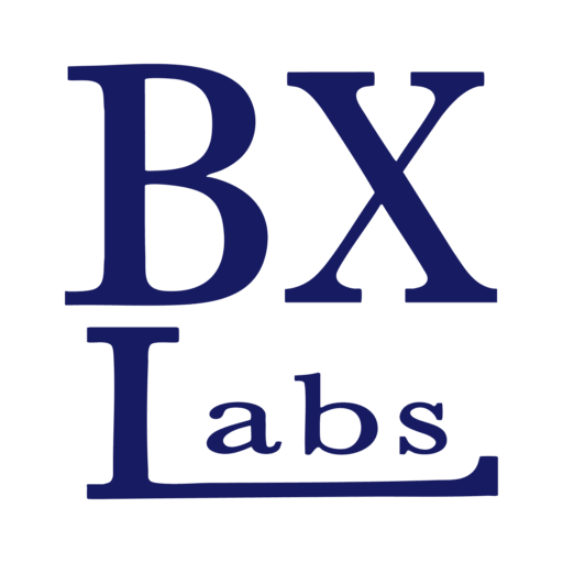 株式会社BX Labs